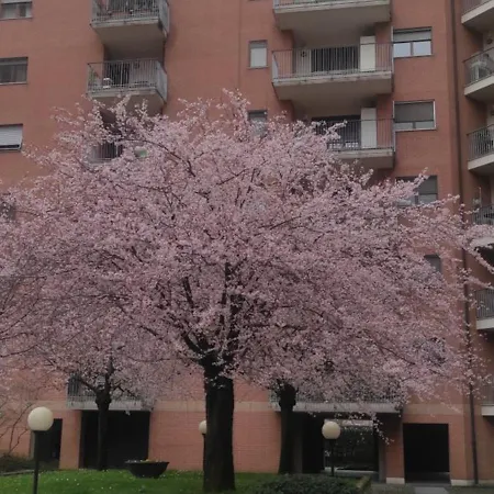 Appartement Elemi House *