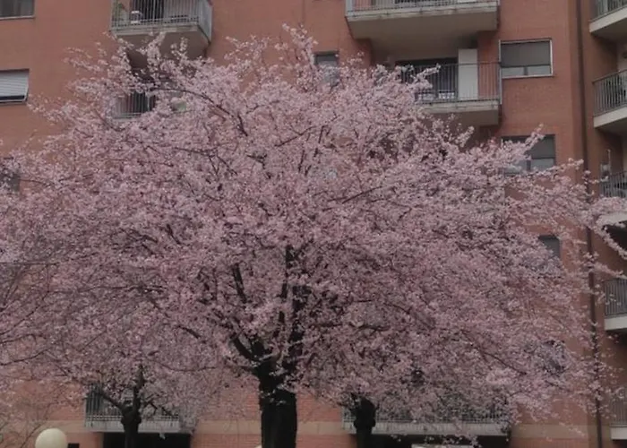 Apartament Elemi House *